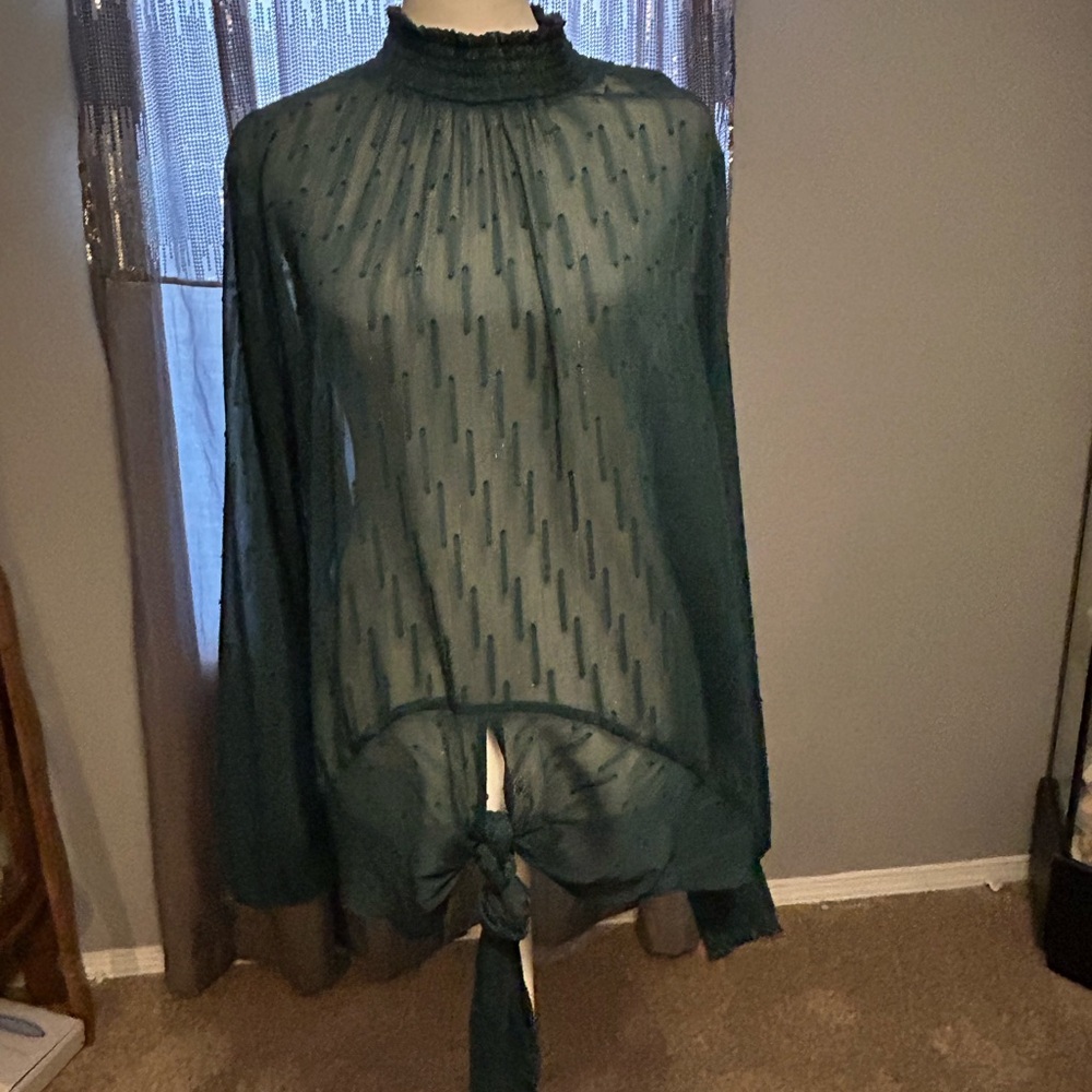 Express Emerald Sheer Tie-Front Blouse